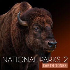 Album art for NATIONAL PARKS VOL 2.