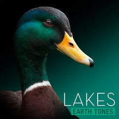 Album art for LAKES.