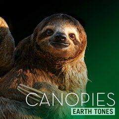 Album art for the SCORE item CANOPIES.