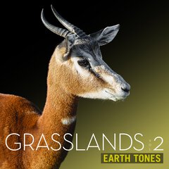 Album art for the SCORE item GRASSLANDS VOL 2.