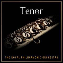 Album art for the CLASSICAL item TENOR by GIUSEPPE VERDI.