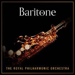 Album art for BARITONE.