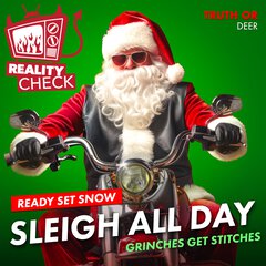Album art for SLEIGH ALL DAY.