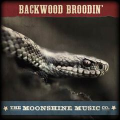 Album art for BACKWOOD BROODIN'.