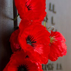 Image for LEST WE FORGET