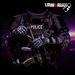 Image for LAW & AUDIO